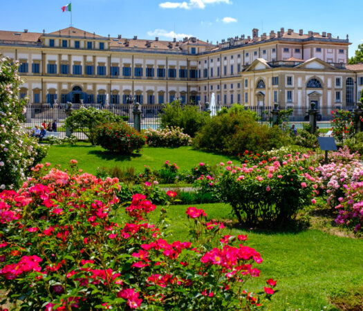 Visite guidate al Roseto