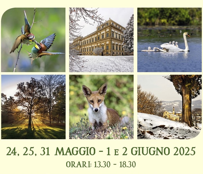 Il Parco di Monza e la Brianza