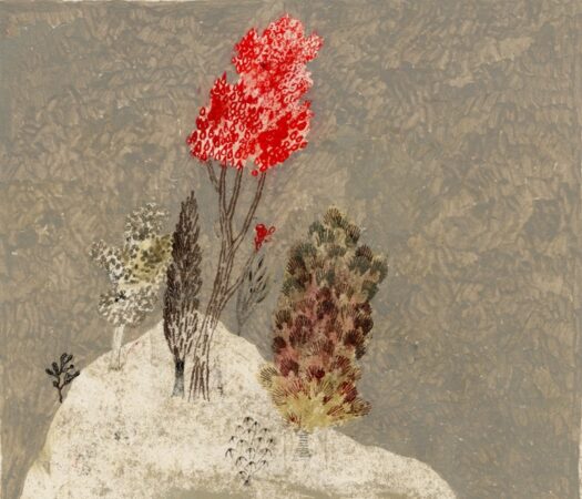 Le Immagini della Fantasia 43