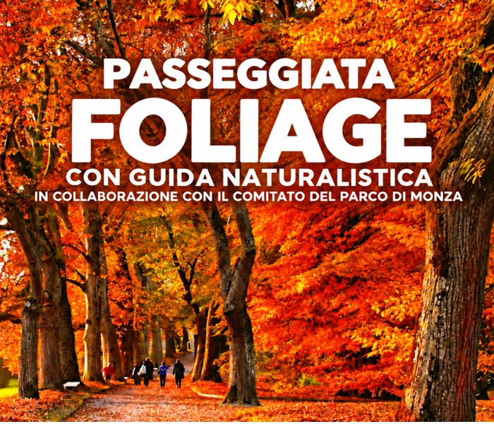 passeggiate foliage